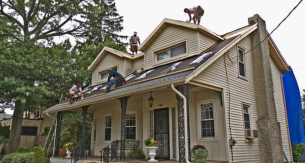Quick and Trustworthy Emergency Roof Repair Services in Niceville, FL